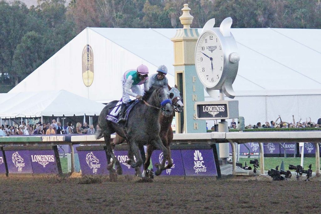Talk Of The Track Breeders Cup Dubai World Cup Winner Arrogate Dies 