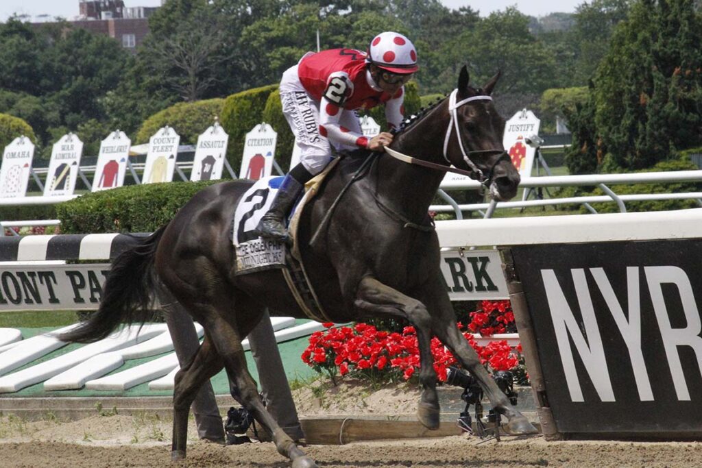 Talk Of The Track Champion Midnight Bisou Retired After Injury