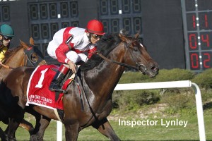 1 Inspector MG 4738