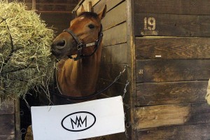 Turfway Harrys Holiday