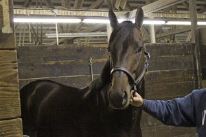 Turfway IMG 2214