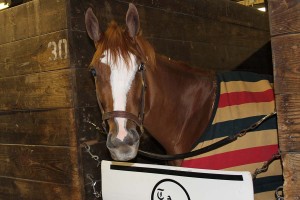 Turfway WeMissArtie IMG 2224